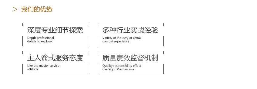 我們的優(yōu)勢